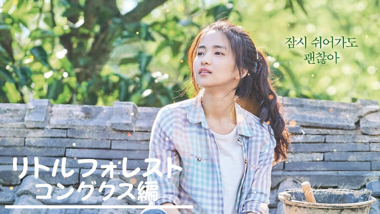 韓国版 リトルフォレスト コングクス 豆乳麺 は韓国の暑い夏の風物詩 にっこりおって